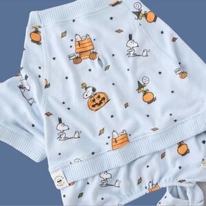 American Eagle Dog Pajamas